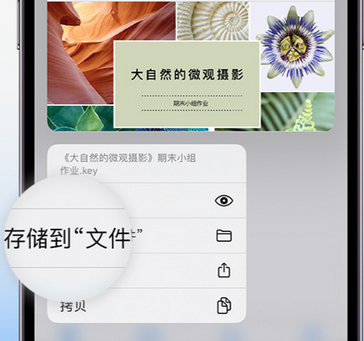 中原apple维修中心分享iPhone文件应用中存储和找到下载文件