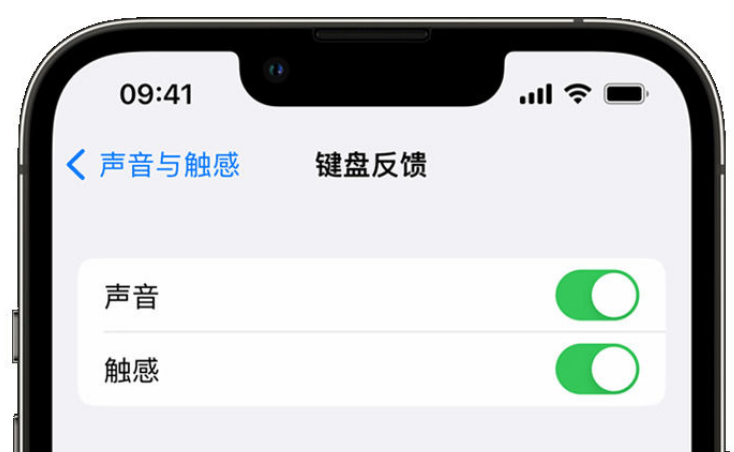 中原苹果手机维修分享iPhone 14触感键盘使用方法 