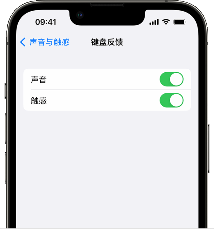 中原苹果14维修店分享如何在 iPhone 14 机型中使用触感键盘 