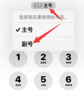 中原苹果14维修店分享iPhone 14 Pro Max使用副卡打电话的方法 