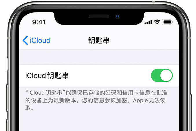 中原苹果手机维修分享在 iPhone 上开启 iCloud 钥匙串之后会储存哪些信息 