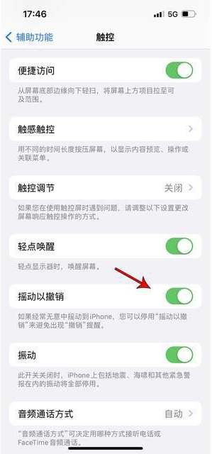 中原苹果手机维修分享iPhone手机如何设置摇一摇删除文字 